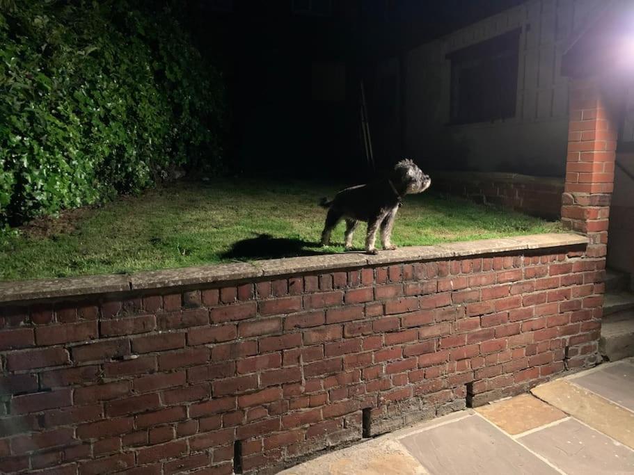 Award Winning Pet Friendly Paddock Cottage วิทบี ภายนอก รูปภาพ